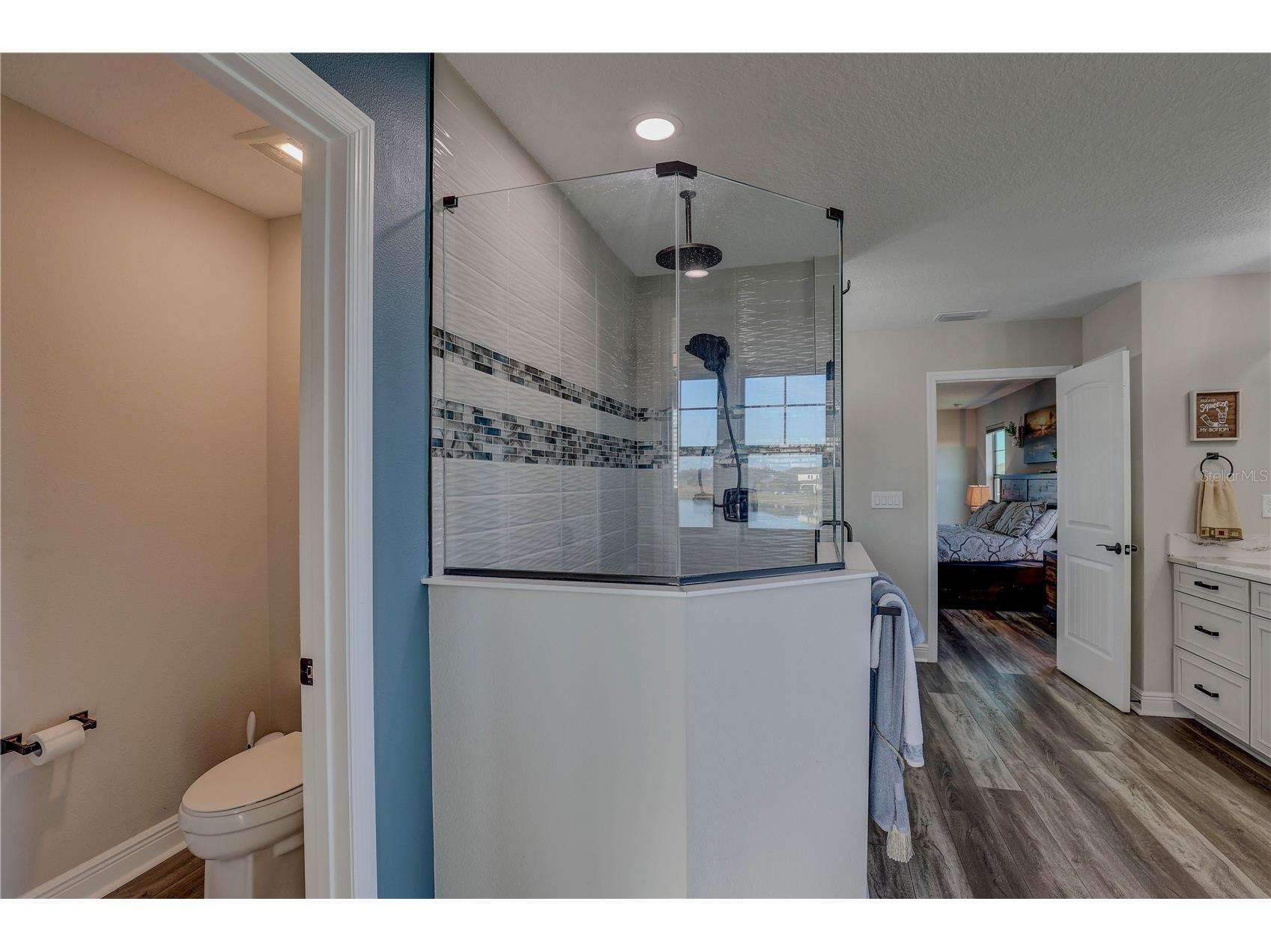 14536 Woodland Spur Drive Lithia FL 33547 TB8461497 image43