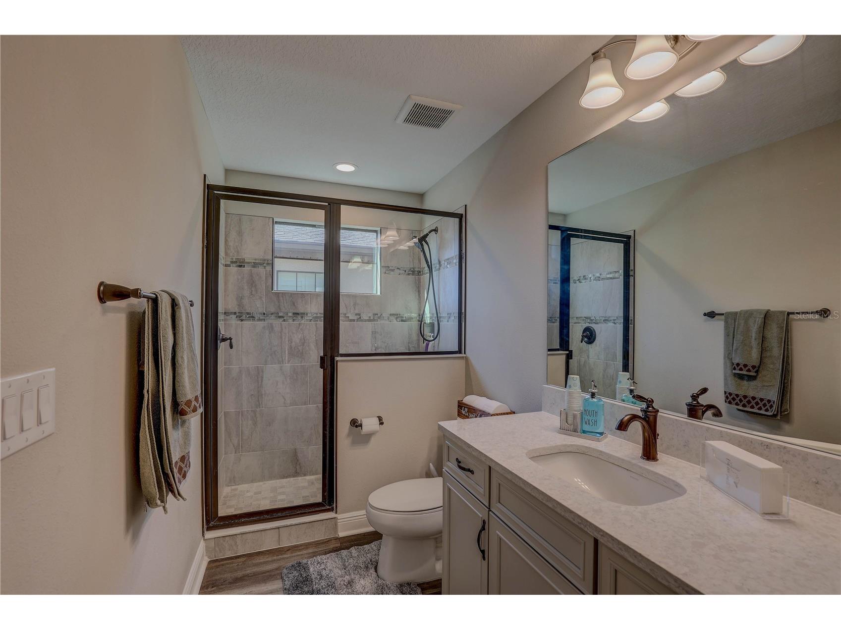 14536 Woodland Spur Drive Lithia FL 33547 TB8461497 image61