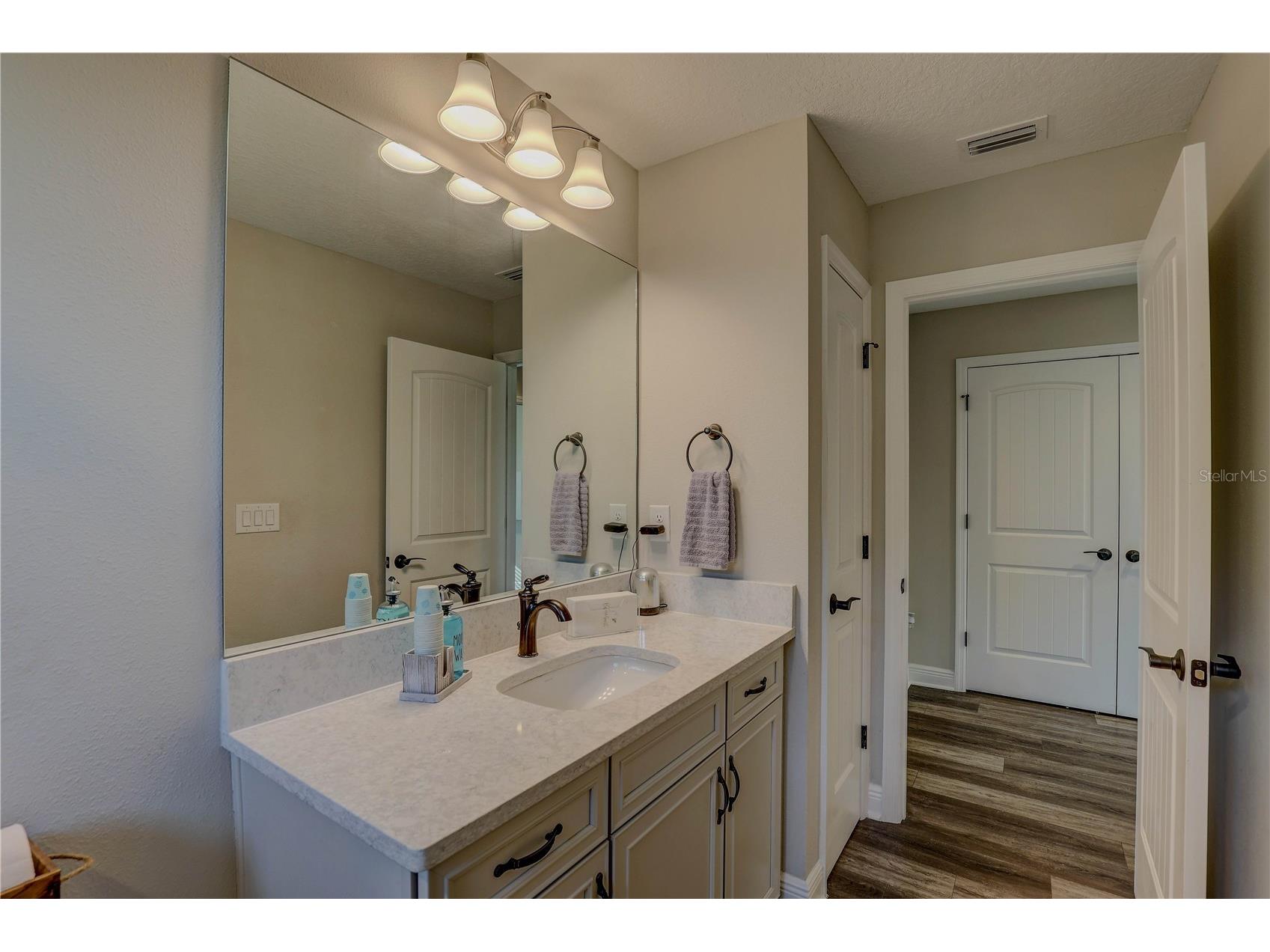 14536 Woodland Spur Drive Lithia FL 33547 TB8461497 image62