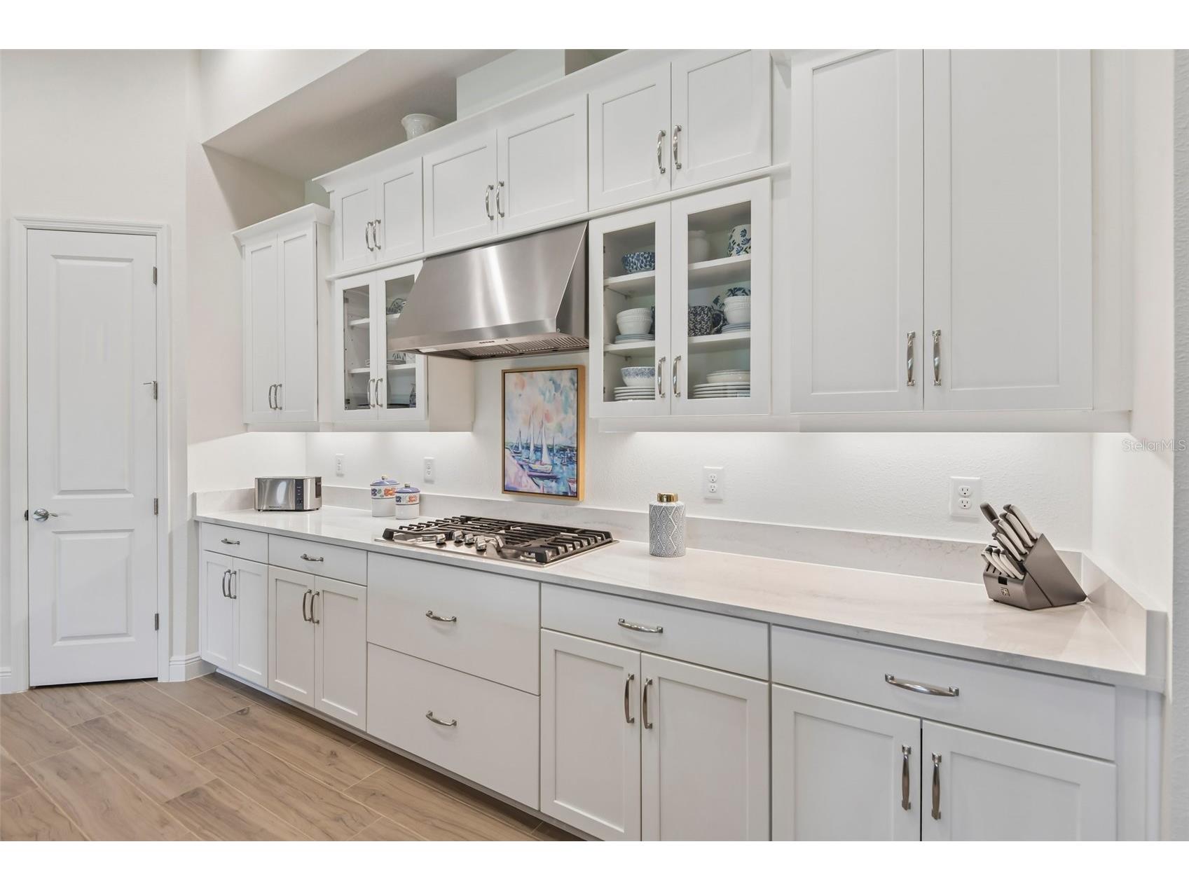 14537 Swiss Bridge Drive Lithia FL 33547 TB8514732 image19