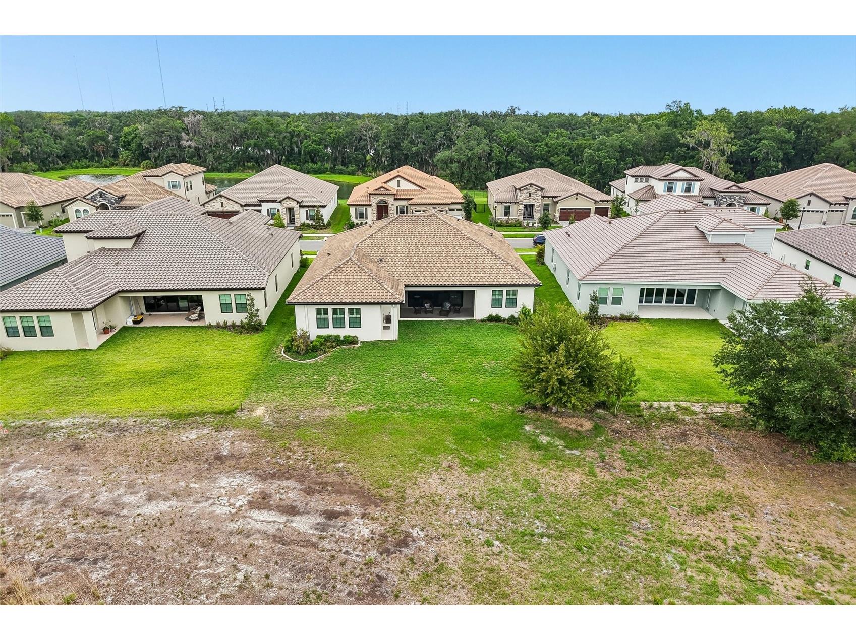 14537 Swiss Bridge Drive Lithia FL 33547 TB8514732 image51