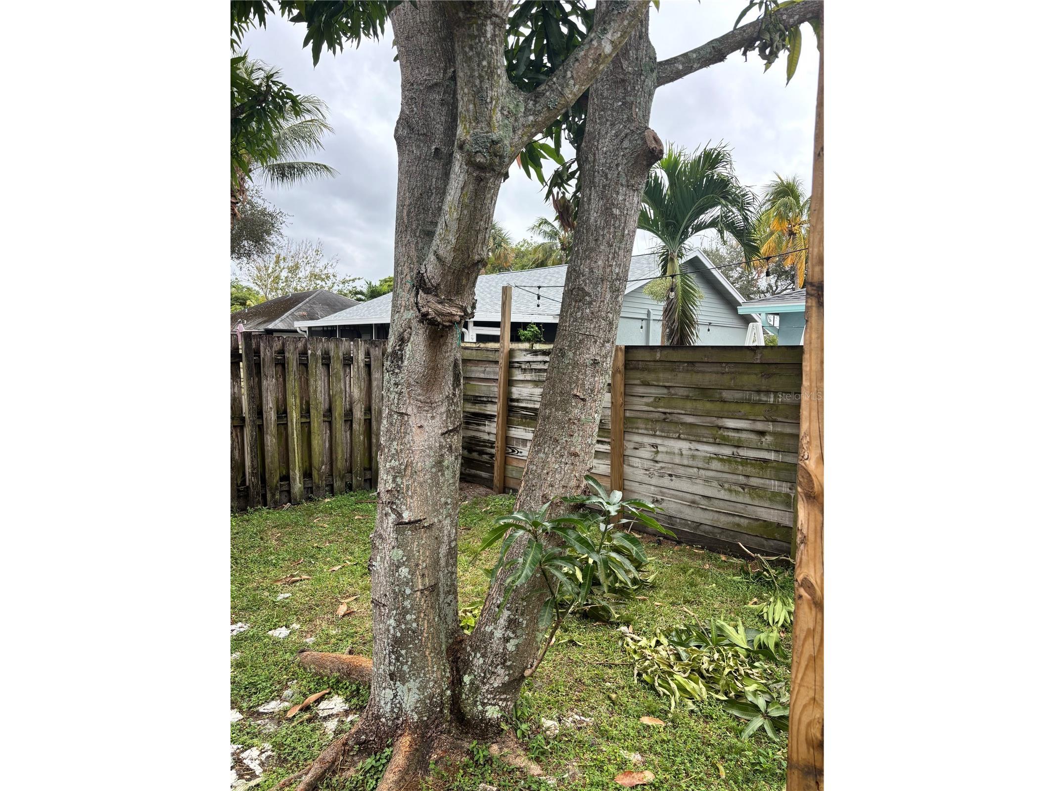 14539 Wood Pine Drive #39 Delray Beach FL 33445 P4937577 image29