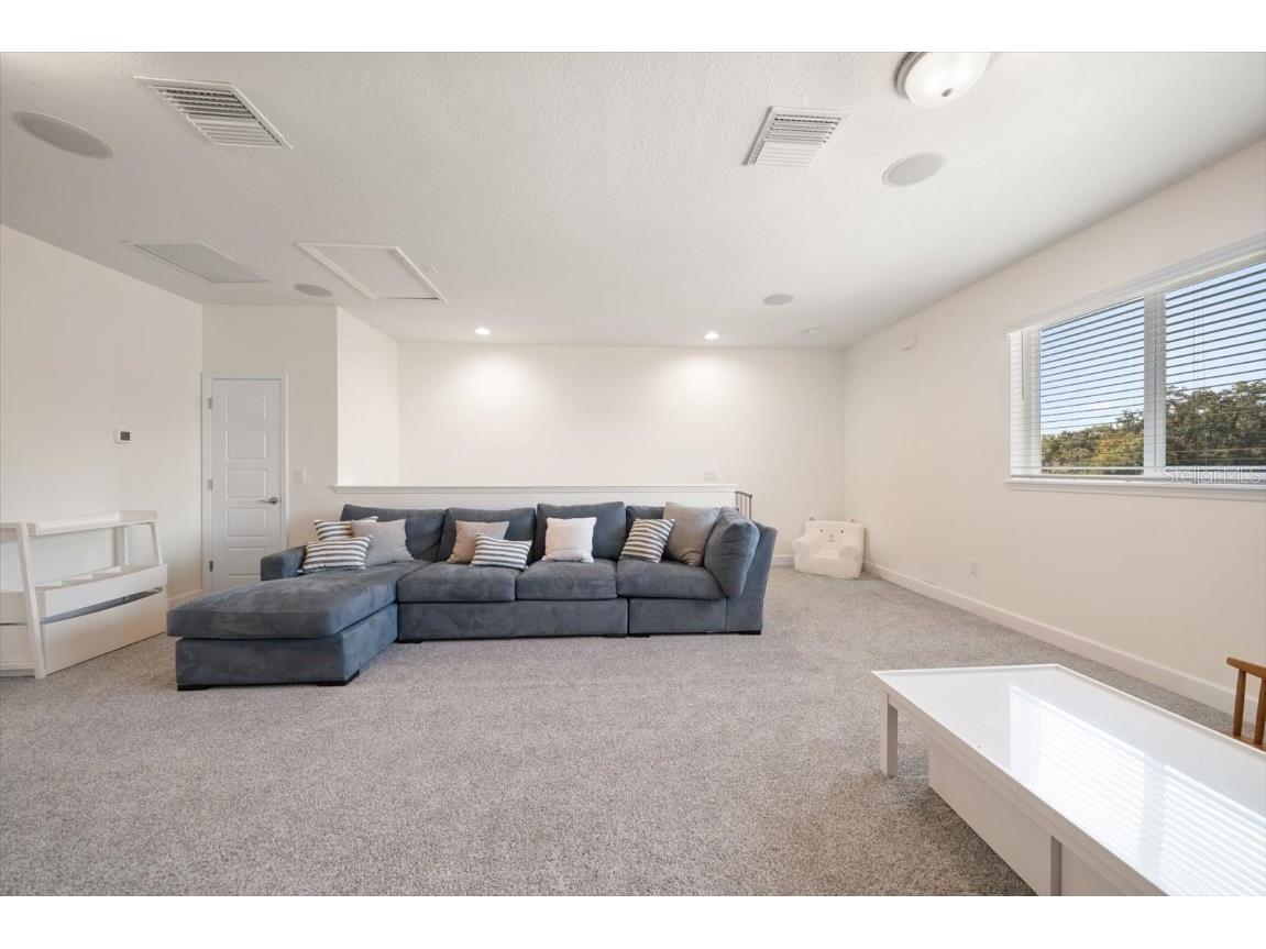 1454 Aberdeen Oaks Drive Dunedin FL 34698 TB8450615 image41