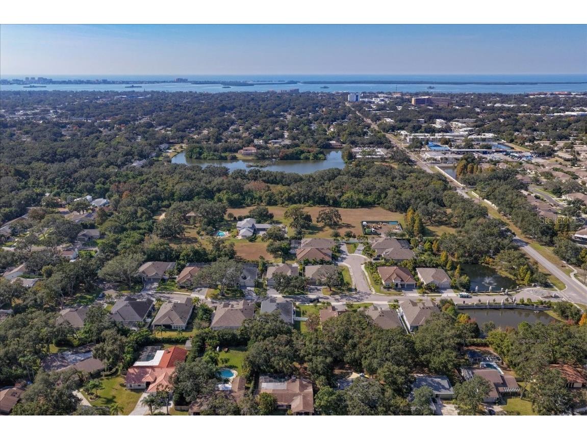 1454 Aberdeen Oaks Drive Dunedin FL 34698 TB8450615 image62