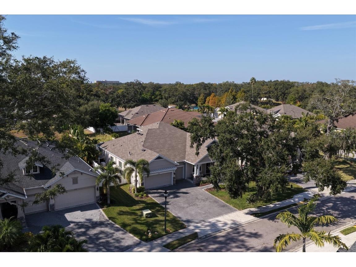 1454 Aberdeen Oaks Drive Dunedin FL 34698 TB8450615 image63