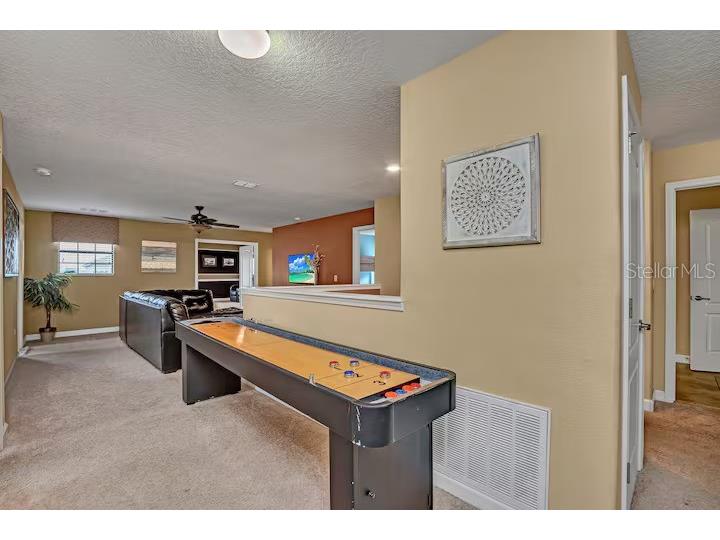 1454 Belle Terre Road Davenport FL 33896 TB8516738 image21
