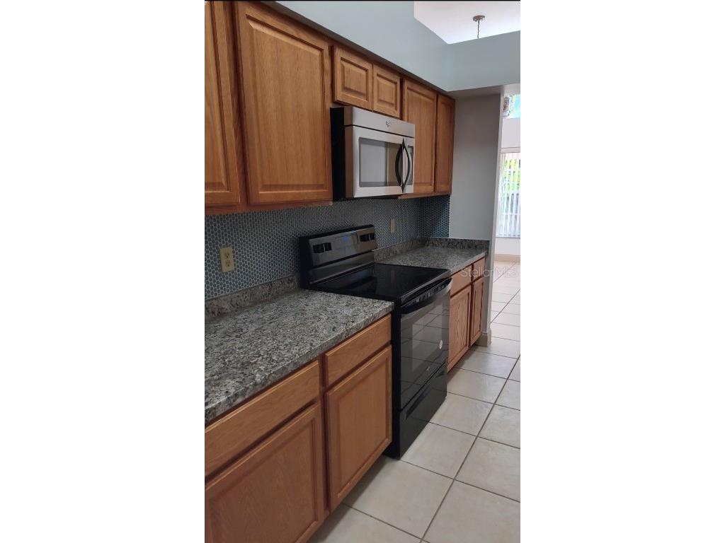 1454 Welson Road Orlando FL 32837 S5138689 image4