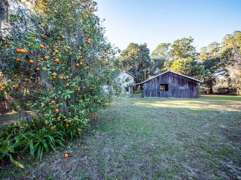 14540 NE 250th Avenue Fort Mc Coy FL 32134 - LITTLE LAKE KERR OM695997 image32