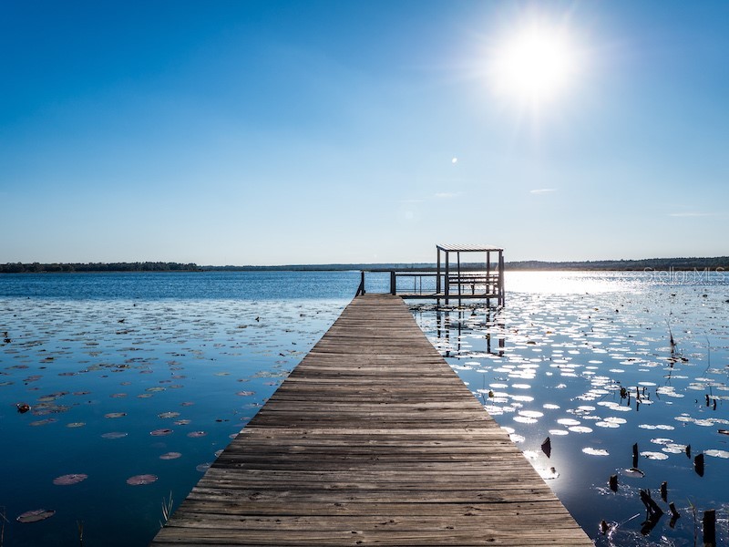 14540 NE 250th Avenue Fort Mc Coy FL 32134 - LITTLE LAKE KERR OM695997 image42