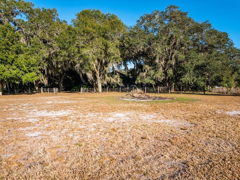 14540 NE 250th Avenue Fort Mc Coy FL 32134 - LITTLE LAKE KERR OM695997 image46