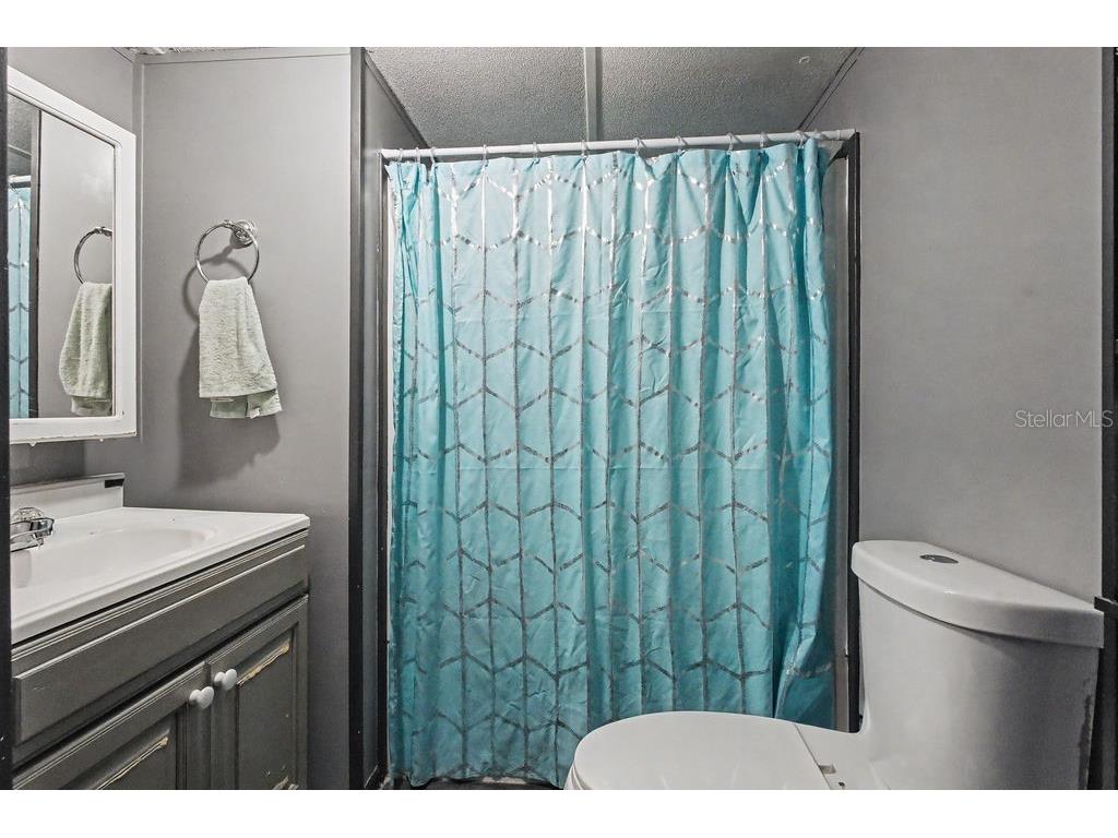 14541 SE 91st Terrace Summerfield FL 34491 A4688382 image7