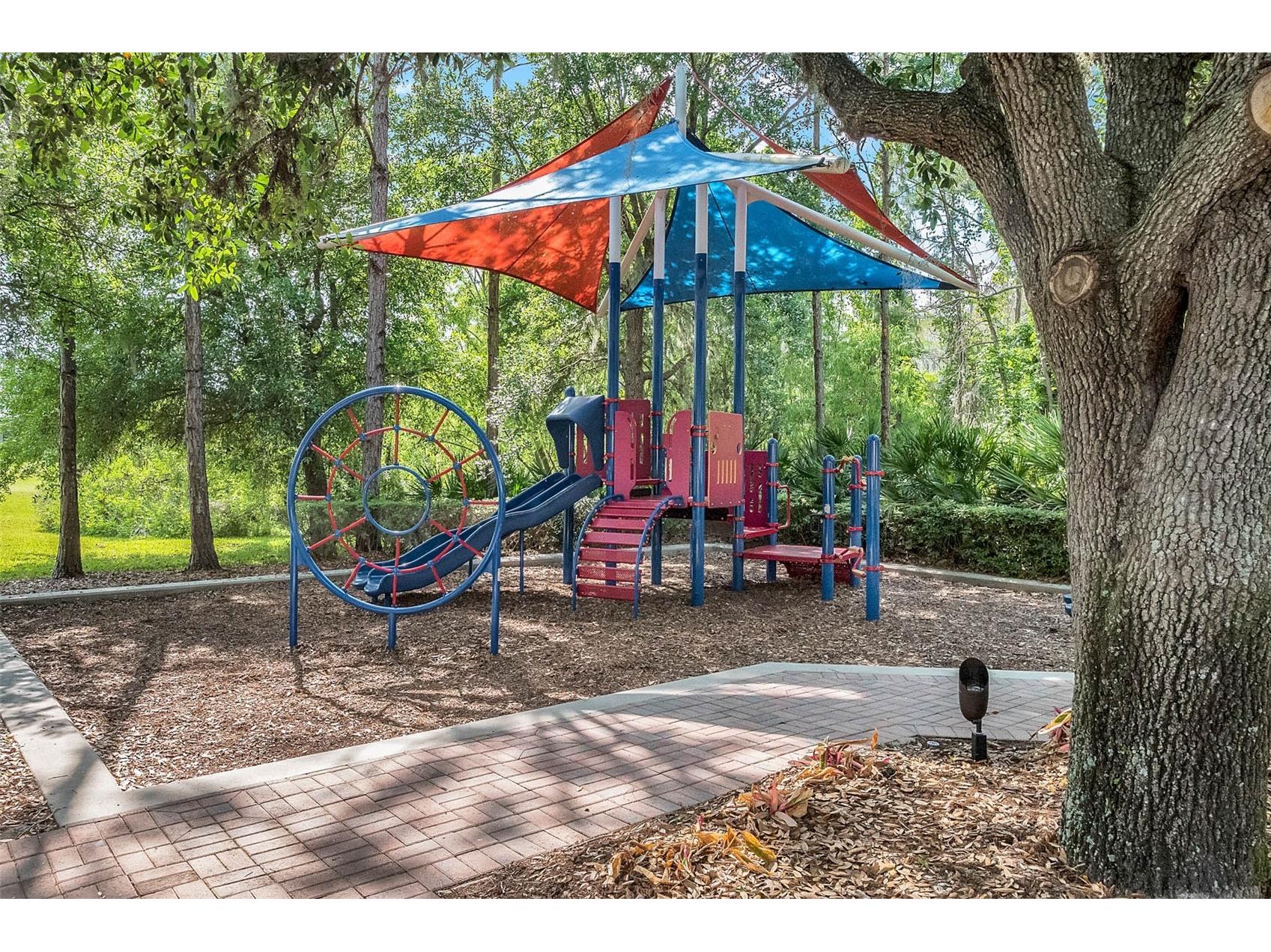 14542 Black Cherry Trail Winter Garden FL 34787 O6410574 image24