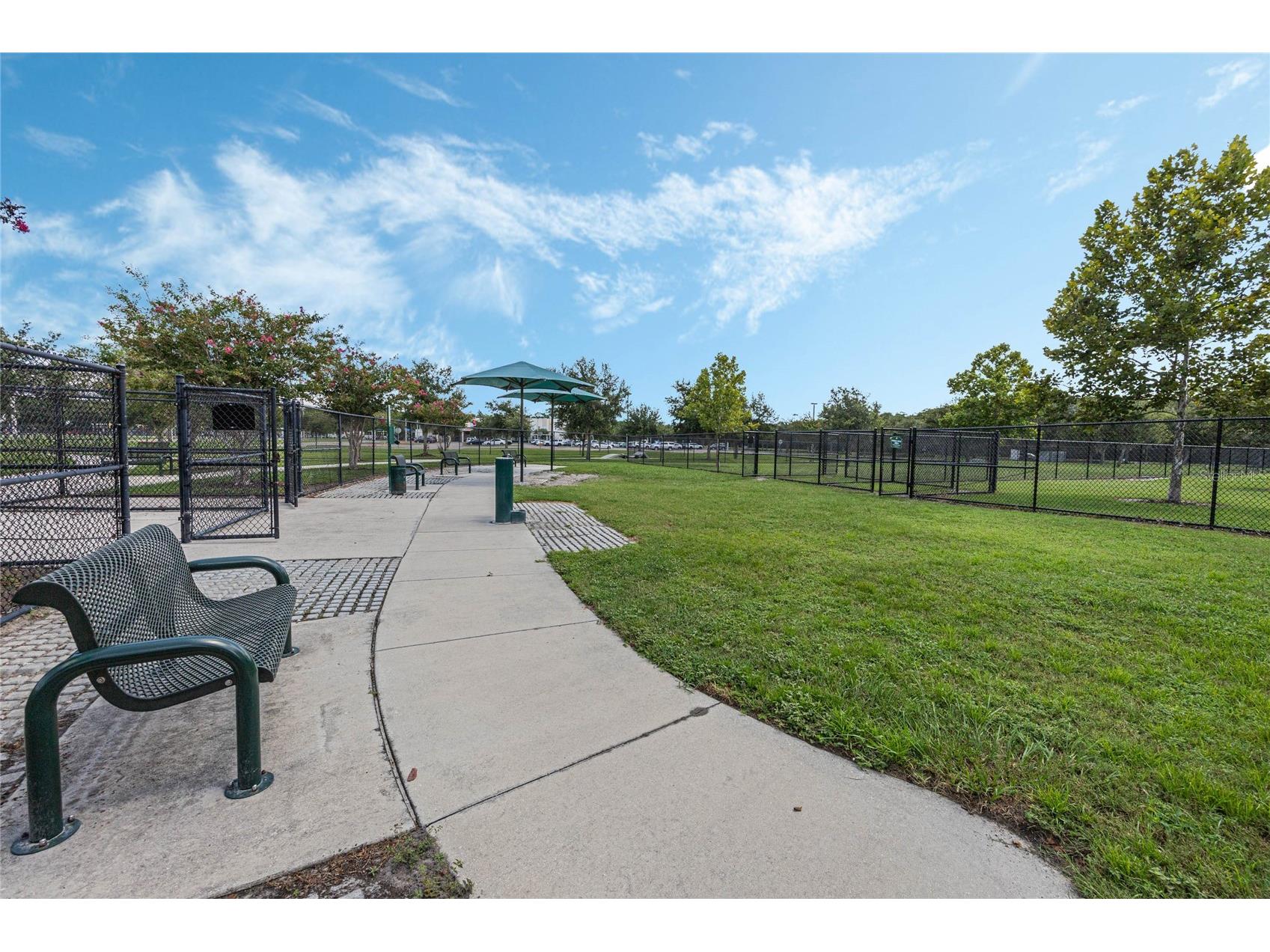 14542 Black Cherry Trail Winter Garden FL 34787 O6410574 image26