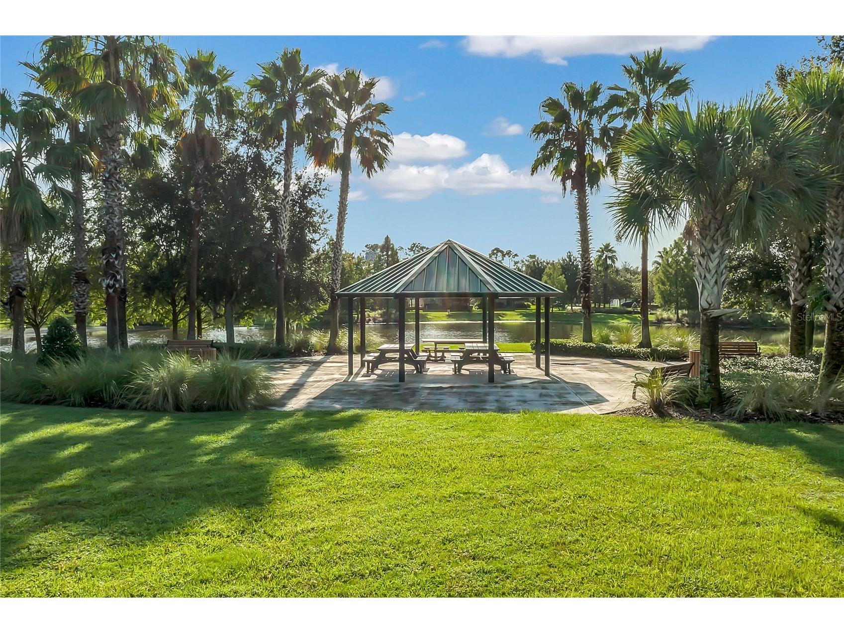 14542 Black Cherry Trail Winter Garden FL 34787 O6410574 image28