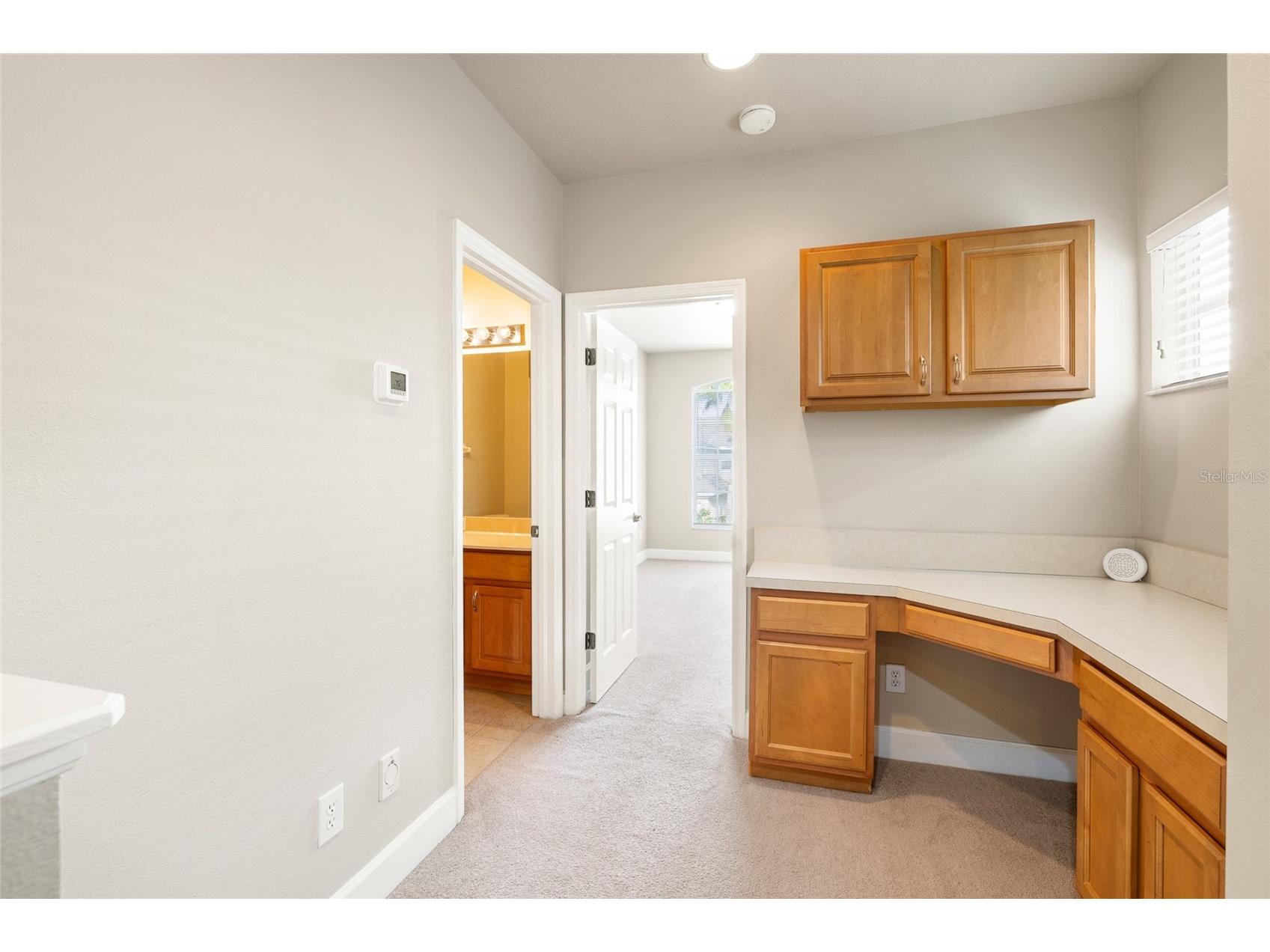 14543 Mirabelle Vista Circle Tampa FL 33626 TB8495970 image17