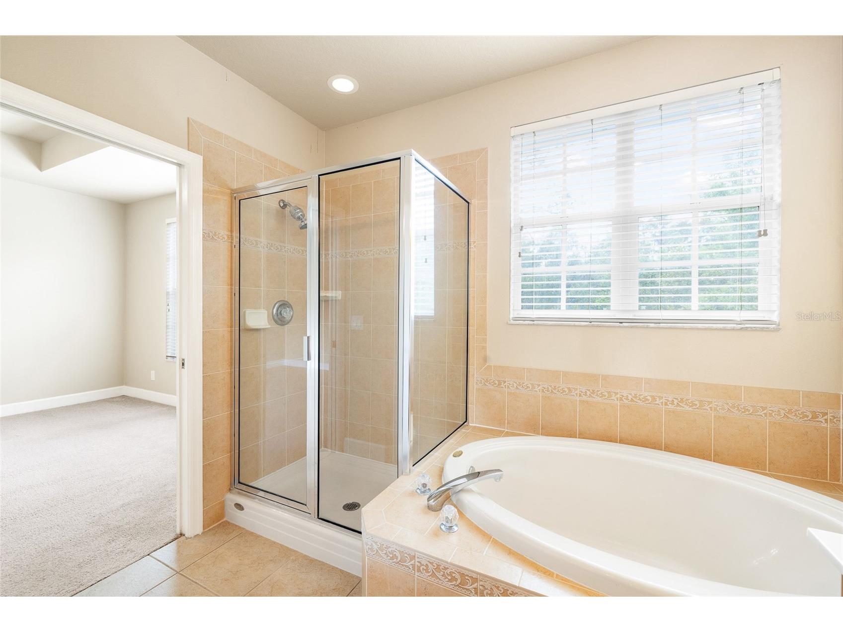 14543 Mirabelle Vista Circle Tampa FL 33626 TB8495970 image26