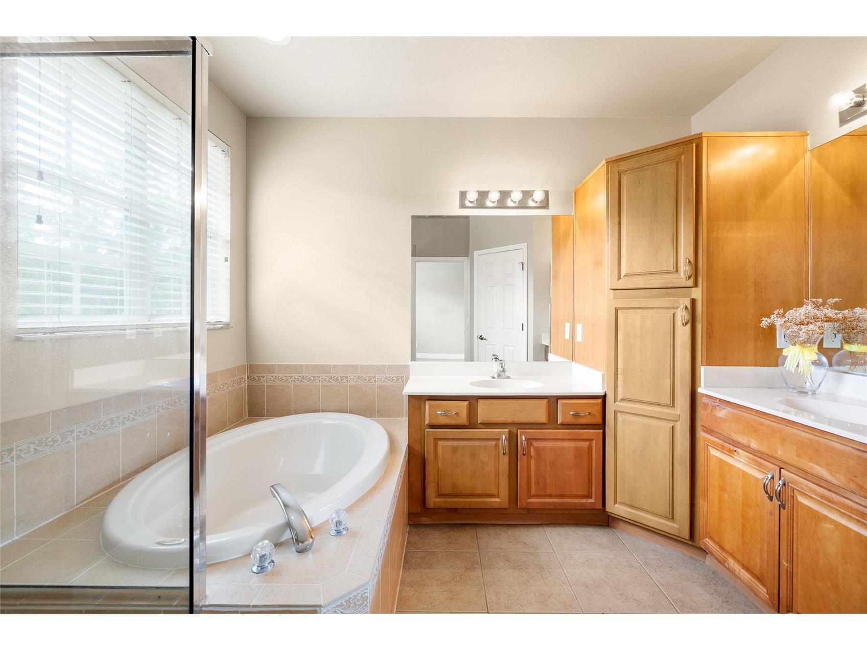 14543 Mirabelle Vista Circle Tampa FL 33626 TB8495970 image27