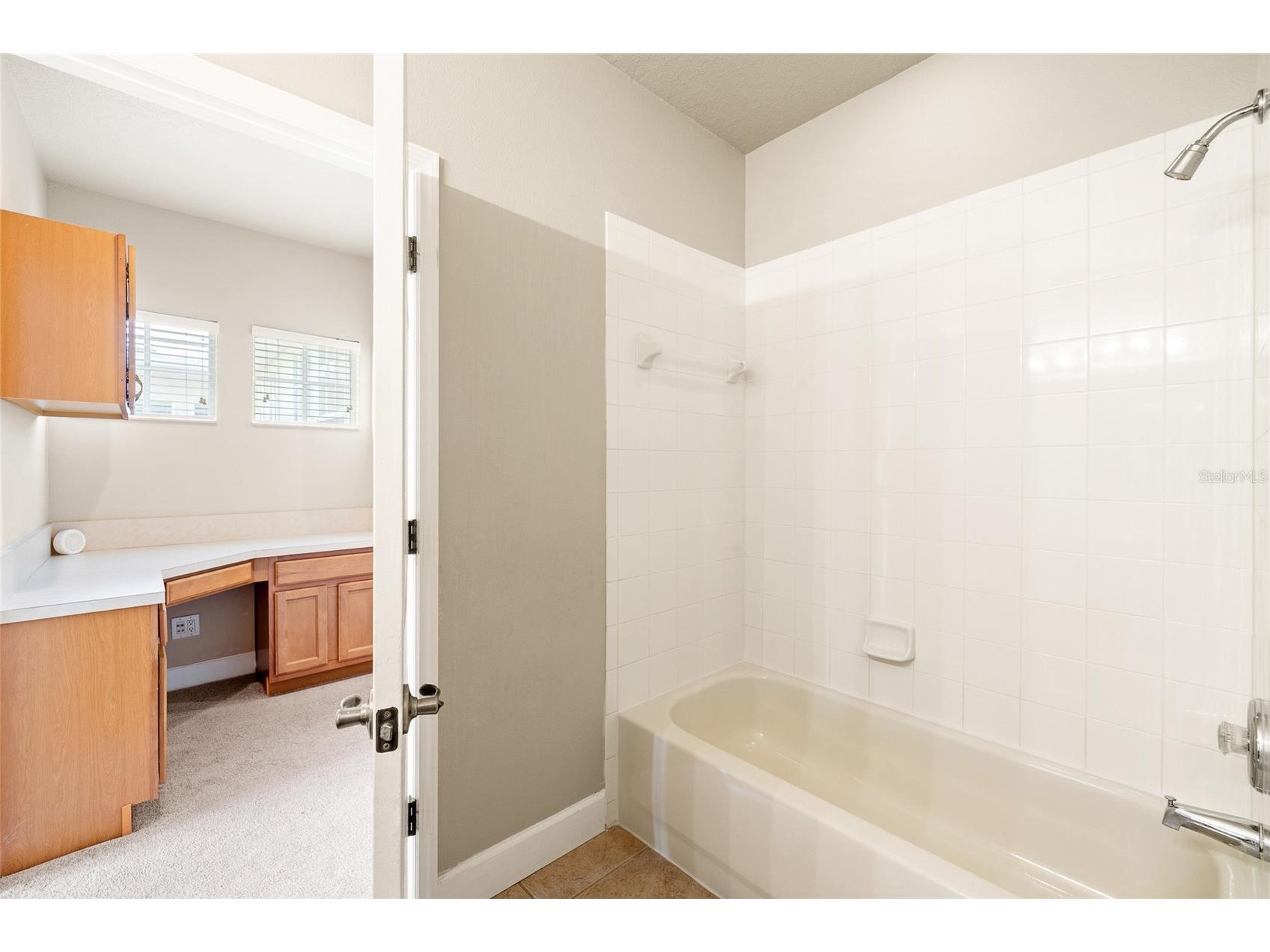 14543 Mirabelle Vista Circle Tampa FL 33626 TB8495970 image39