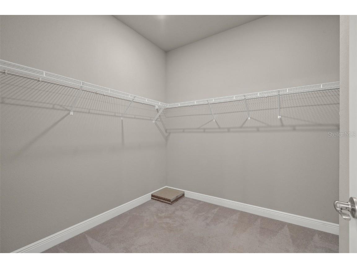 14543 Strathglass Drive Hudson FL 34667 TB8451212 image29