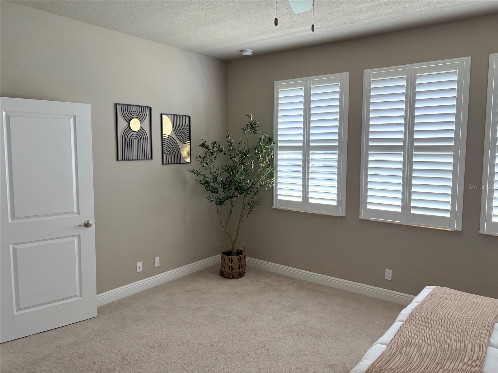 14543 Strathglass Drive Hudson FL 34667 W7886927 image12