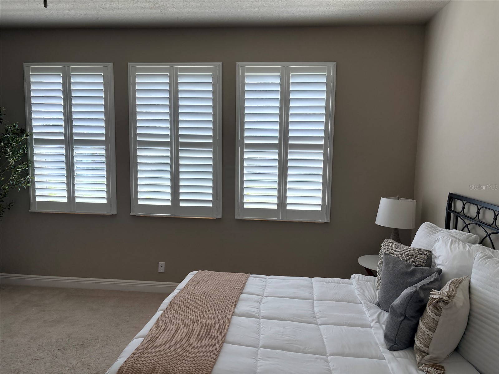 14543 Strathglass Drive Hudson FL 34667 W7886927 image14