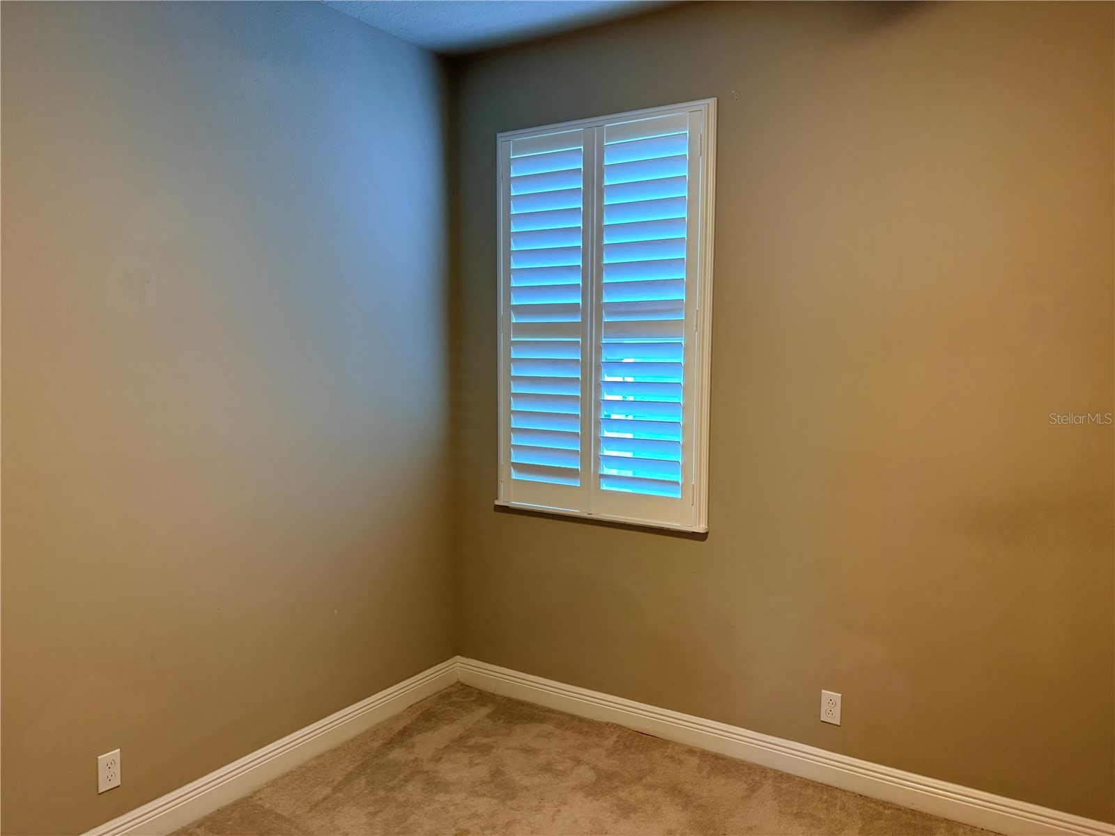 14543 Strathglass Drive Hudson FL 34667 W7886927 image20