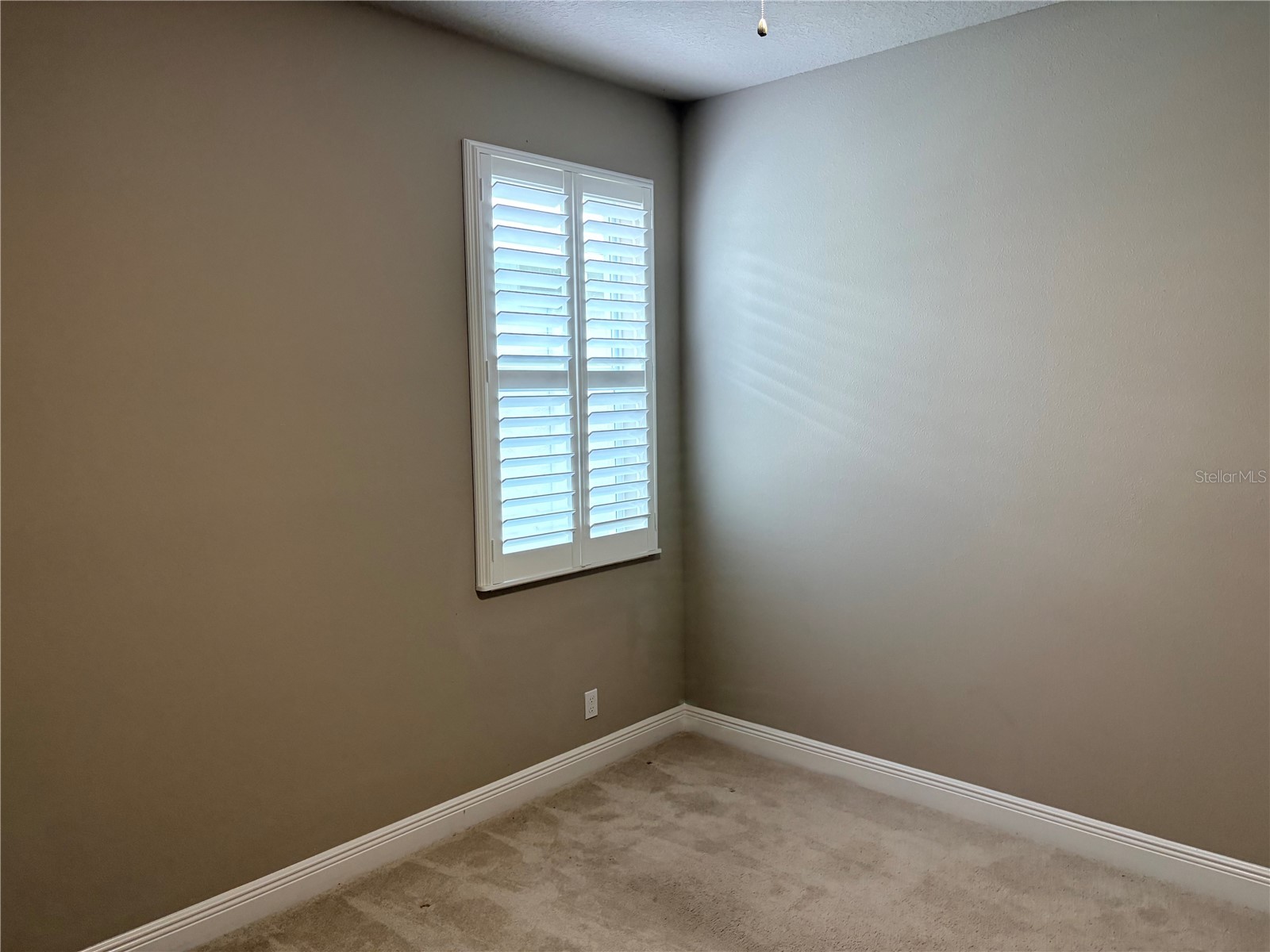 14543 Strathglass Drive Hudson FL 34667 W7886927 image23