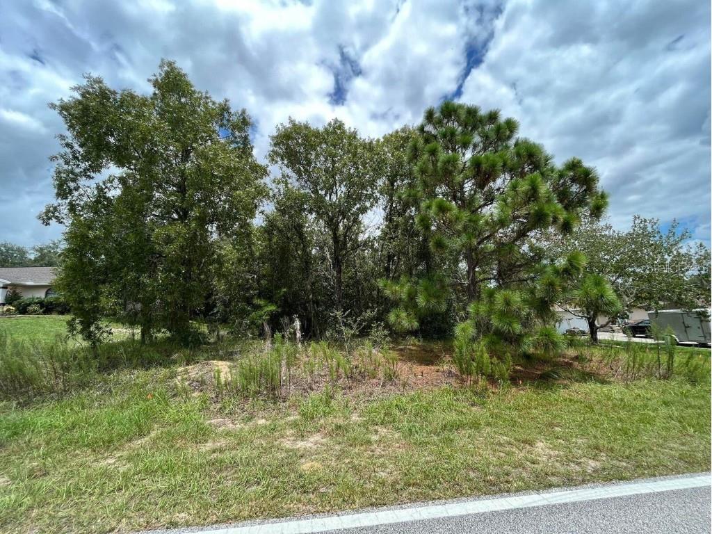 1455 E Hartford Street Inverness FL 34453 OK223868 image1