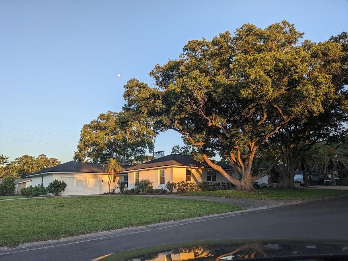 1455 Fairway Drive Dunedin FL 34698 TB8513798 image1