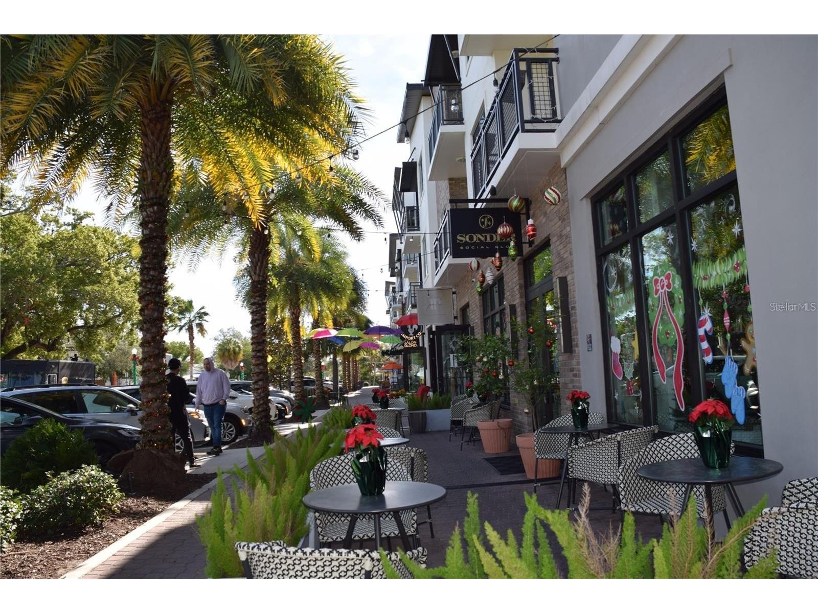 1455 Fairway Drive Dunedin FL 34698 TB8513798 image31
