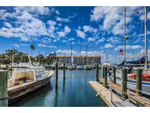 1455 Fairway Drive Dunedin FL 34698 TB8513798 image35