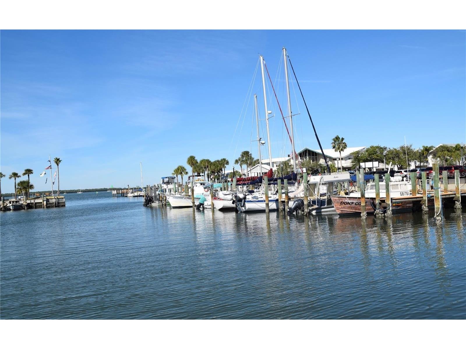 1455 Fairway Drive Dunedin FL 34698 TB8513798 image36