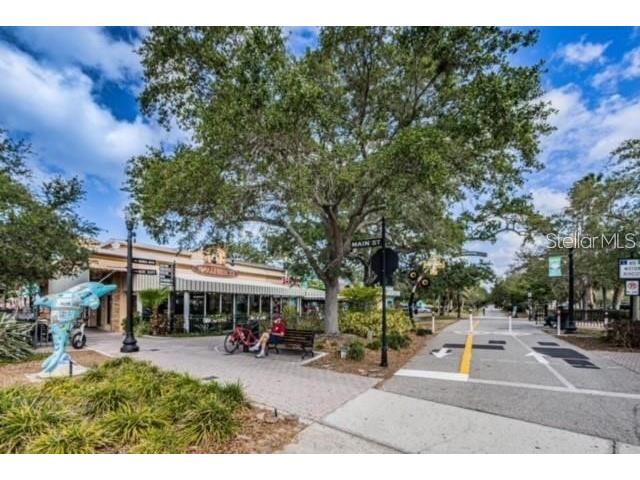 1455 Fairway Drive Dunedin FL 34698 TB8513798 image38