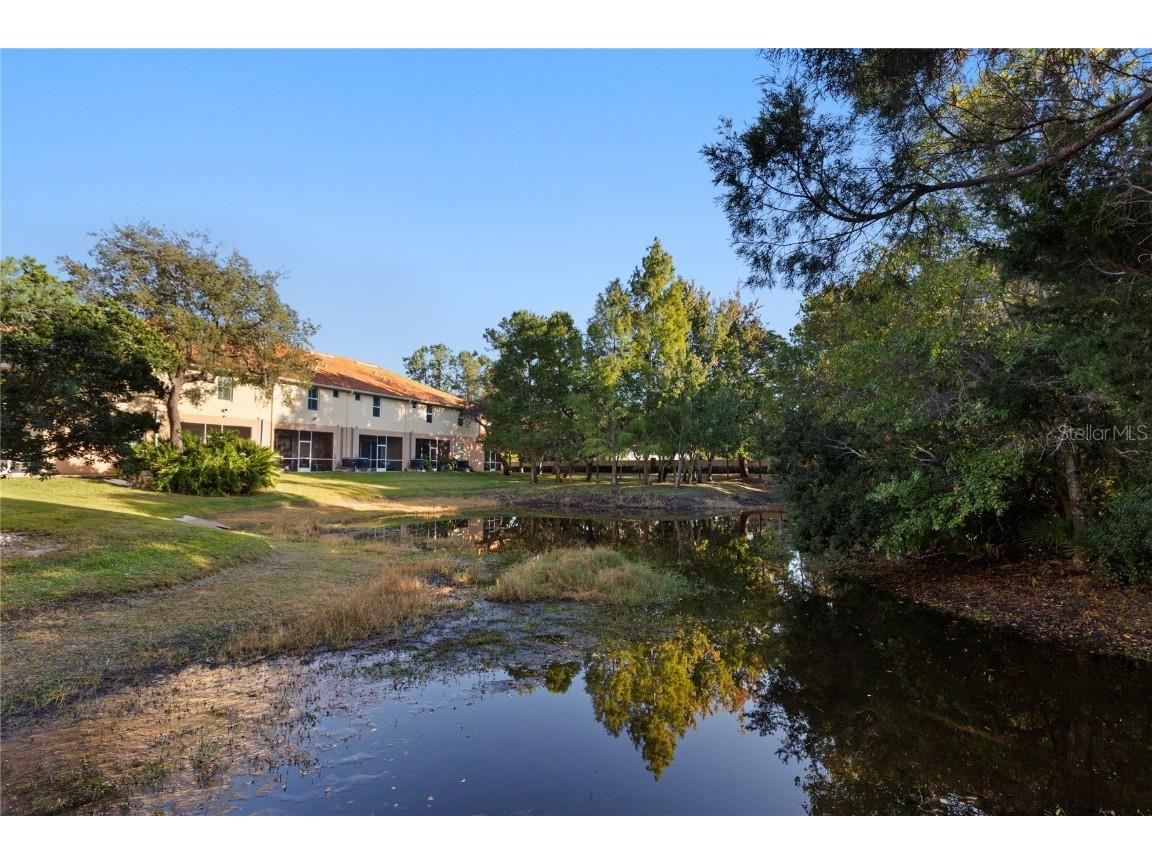 1455 Hidden Court Tarpon Springs FL 34689 TB8448575 image10