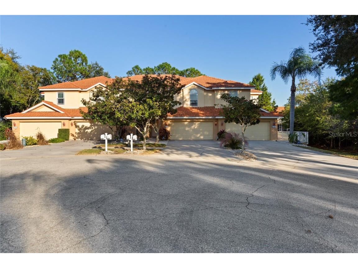 1455 Hidden Court Tarpon Springs FL 34689 TB8448575 image30