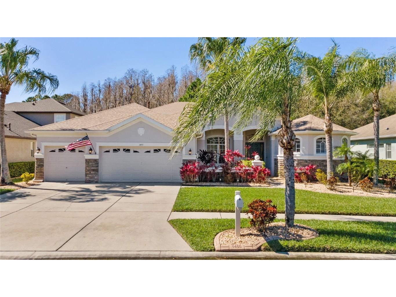 1455 Salmonberry Street Wesley Chapel FL 33543 T3505922 image1