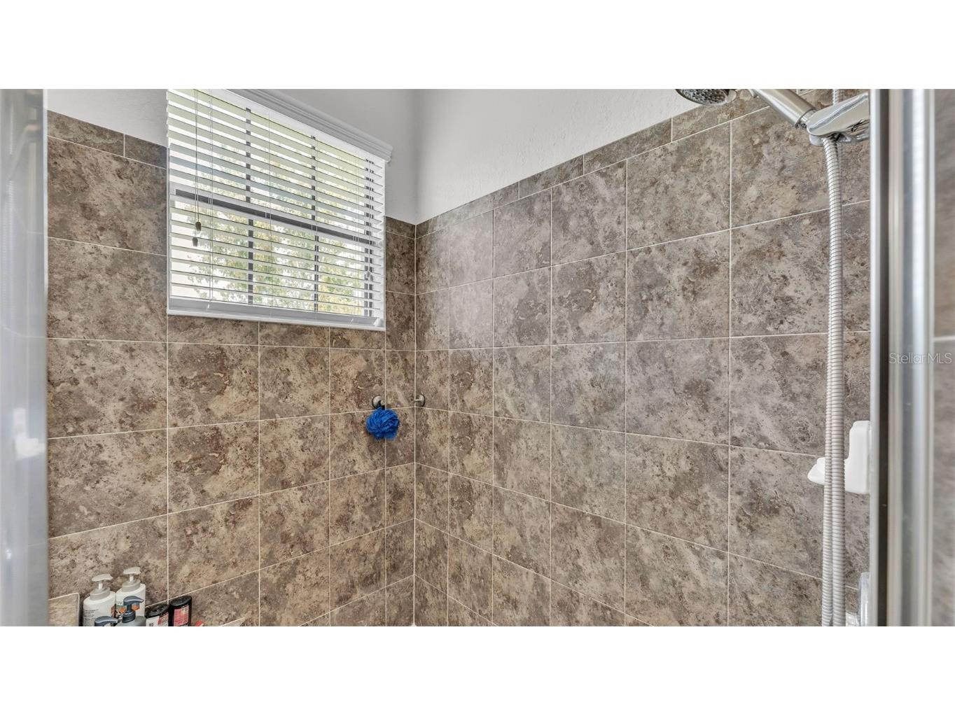 1455 Silver Leaf Drive Lakeland FL 33813 L4954535 image23