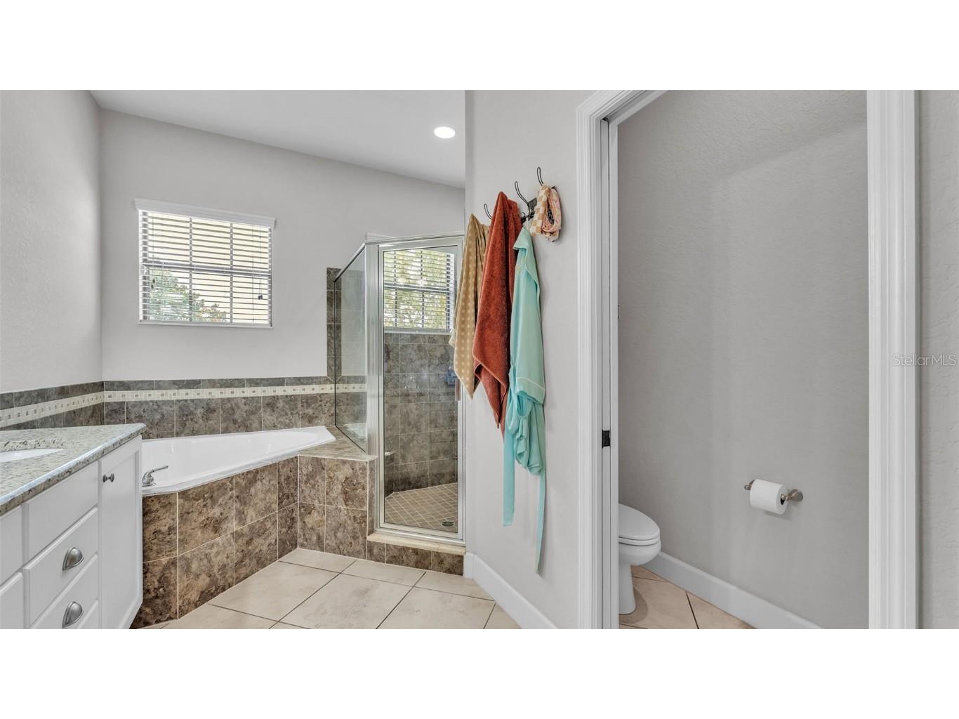 1455 Silver Leaf Drive Lakeland FL 33813 L4954535 image24