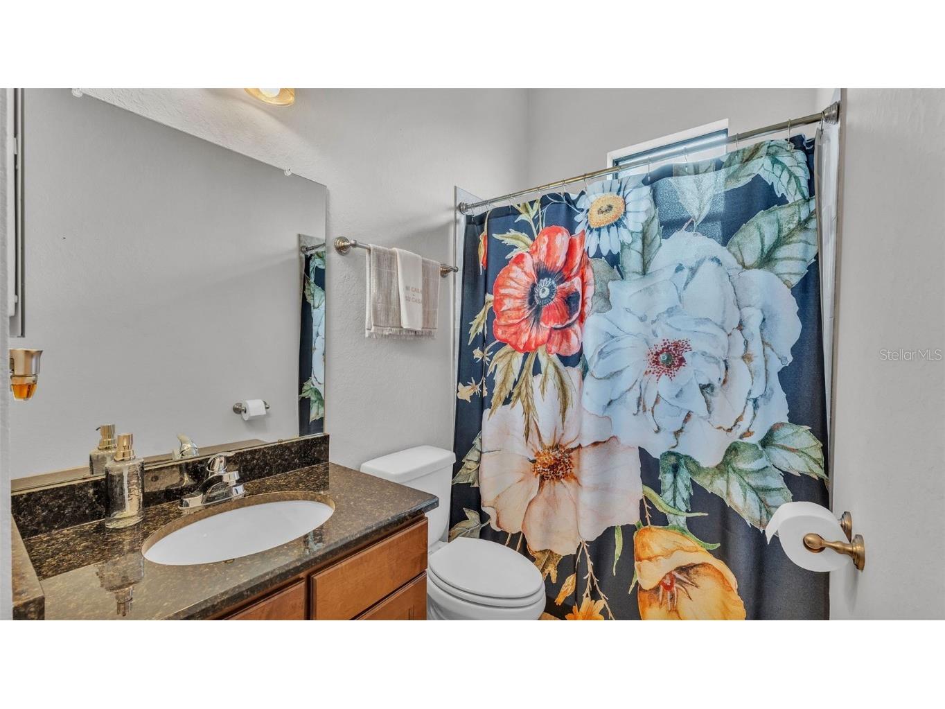 1455 Silver Leaf Drive Lakeland FL 33813 L4954535 image36