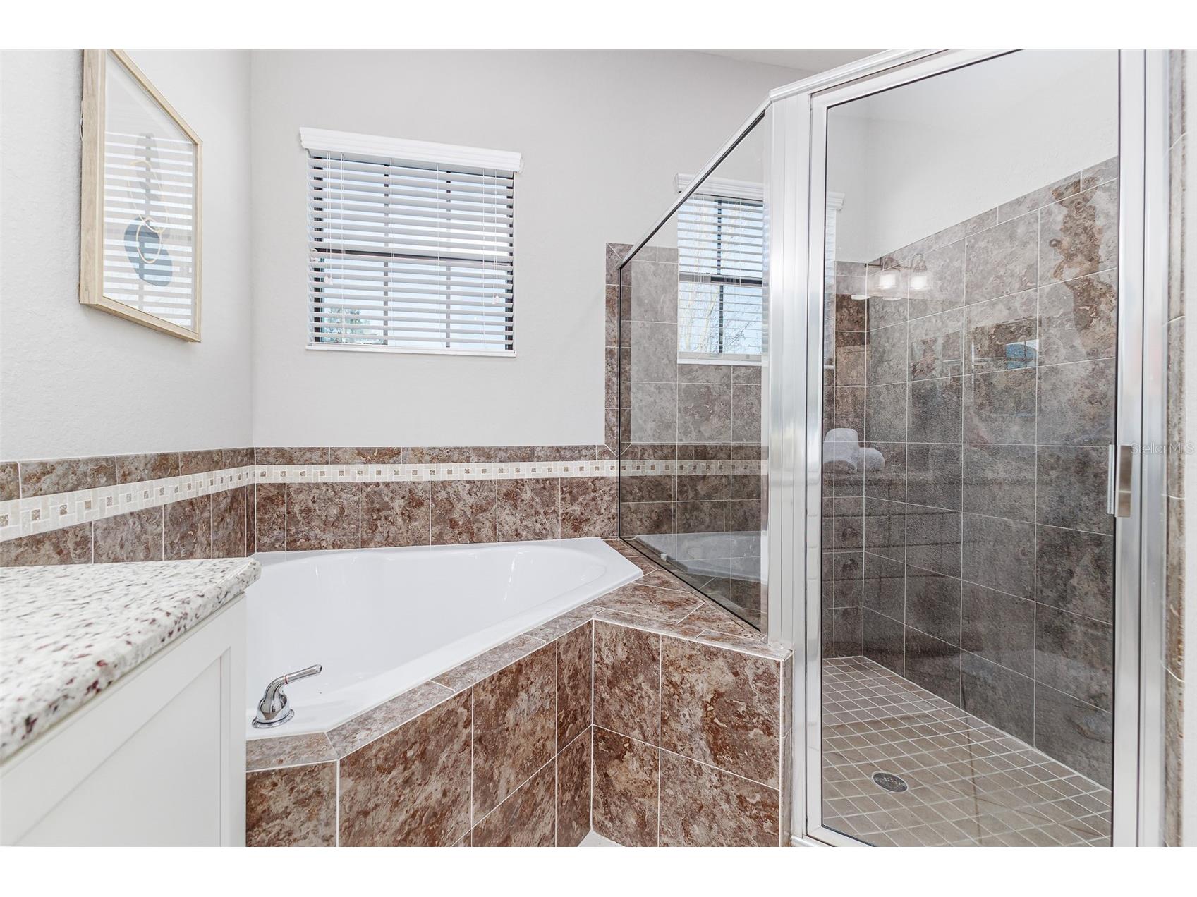 1455 Silver Leaf Drive Lakeland FL 33813 L4959176 image22