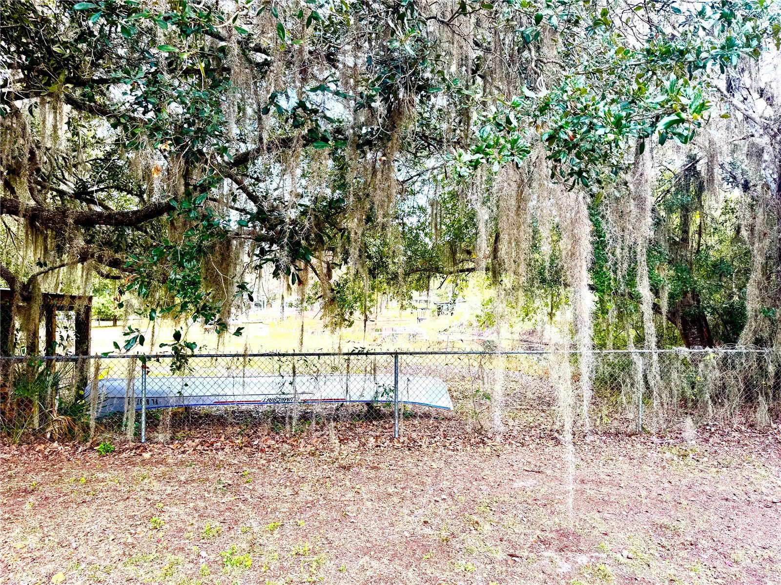 14551 NE 210th Court Road Fort Mc Coy FL 32134 - LAKE KERR OM715860 image10