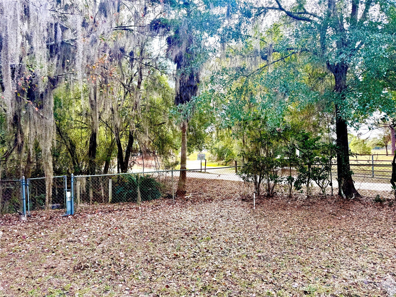 14551 NE 210th Court Road Fort Mc Coy FL 32134 - LAKE KERR OM715860 image9