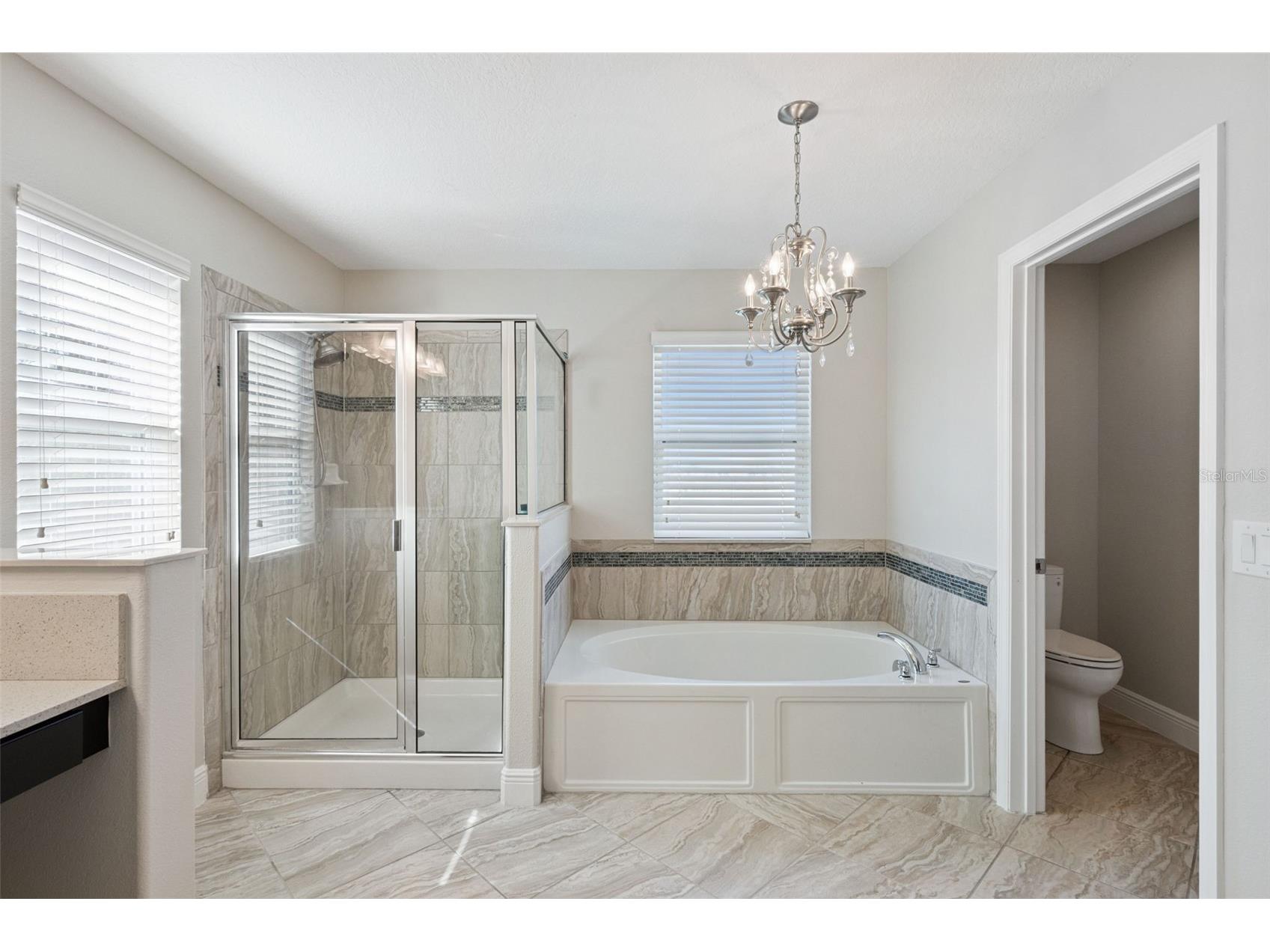 14553 Driftwood Court Winter Garden FL 34787 O6376934 image8