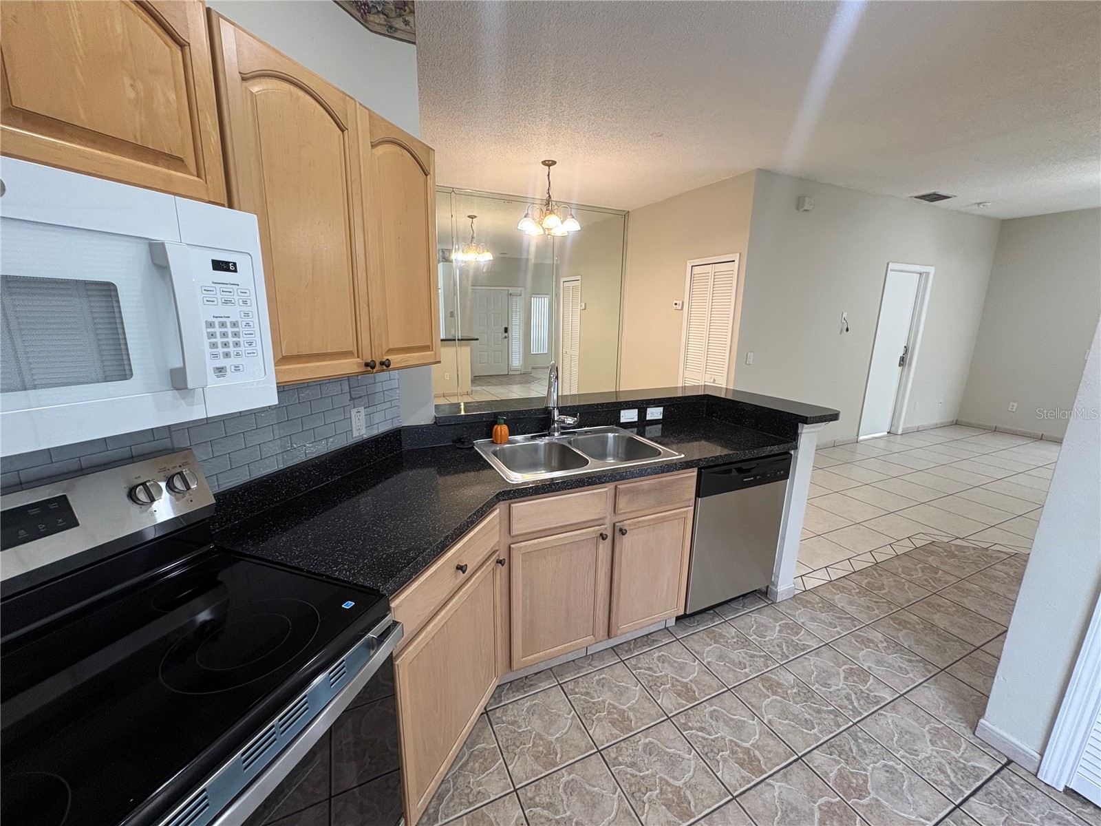 14556 Laguna Beach Circle Orlando FL 32824 O6390552 image9