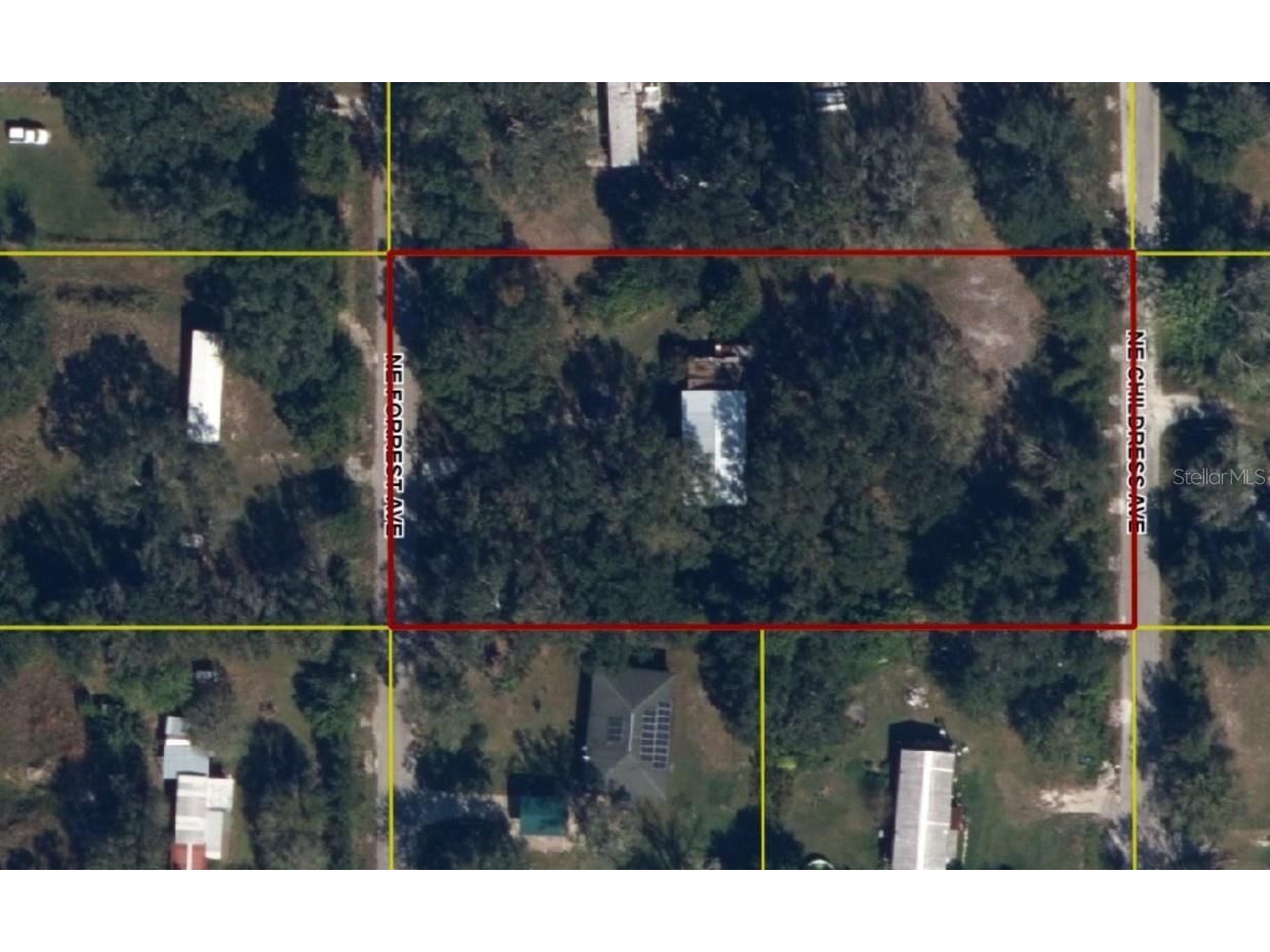 1456 NE Forrest Avenue Arcadia FL 34266 C7504898 image1