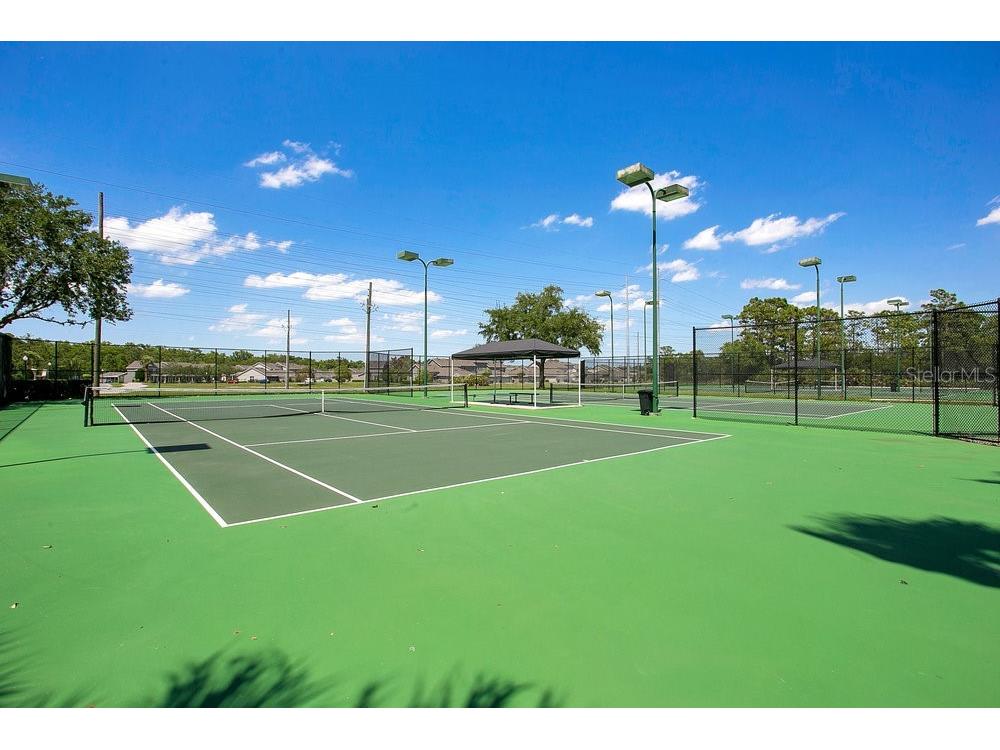 14563 Michener Trail Orlando FL 32828 O6415180 image35