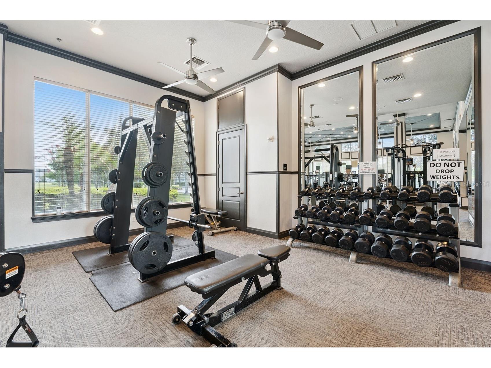 14563 Michener Trail Orlando FL 32828 O6415180 image42