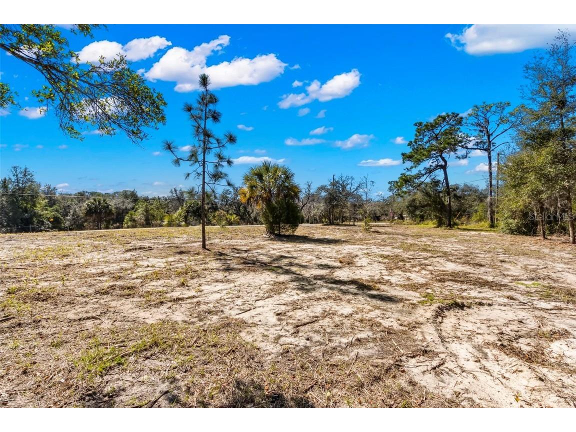 14567 Little Ranch Road Spring Hill FL 34610 U8228522 image1