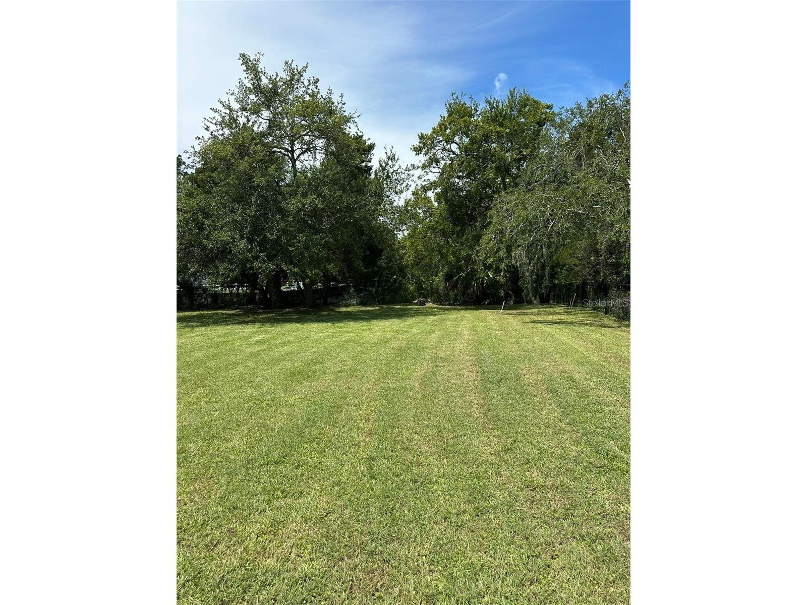 14569 and 0 Coral Drive Hudson FL 34667 TB8486346 image2