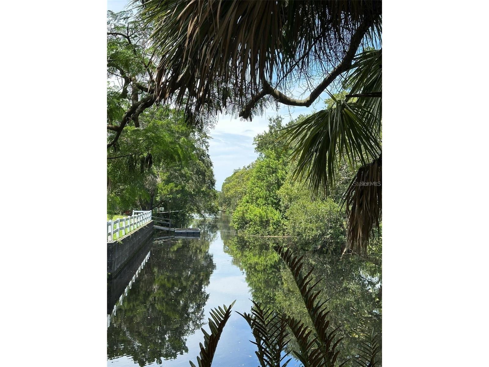 14569 and 0 Coral Drive Hudson FL 34667 TB8486346 image3